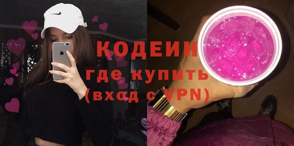 индика Беслан