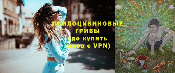 ГАЛЛЮЦИНОГЕННЫЕ ГРИБЫ Лиски