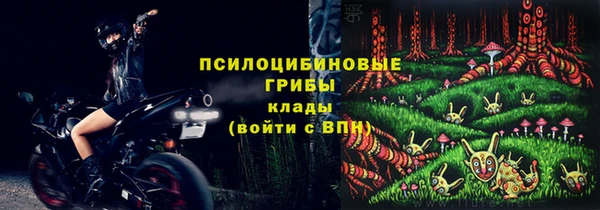 эйфоретик Бежецк