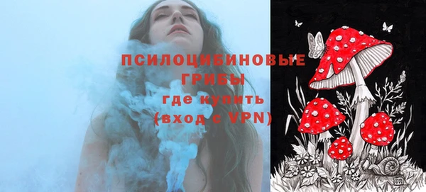 mdpv Лихославль