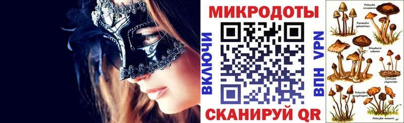Галлюциногенные грибы прущие грибы  гидра вход  Лахденпохья 
